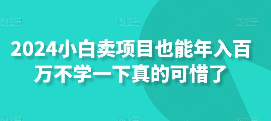 2024小白卖项目也能年入百万不学一下真的可惜了-泡泡网赚
