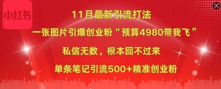 小红书11月最新图片打粉，一张图片引爆创业粉，“预算4980带我飞”，单条引流500+精准创业粉-泡泡网赚