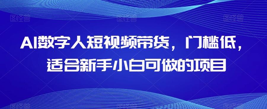 AI数字人短视频带货，门槛低，适合新手小白可做的项目-泡泡网赚