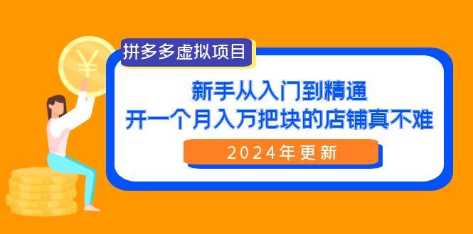 (9744期)拼多多虚拟项目：入门到精通，开一个月入万把块的店铺 真不难(24年更新)-泡泡网赚