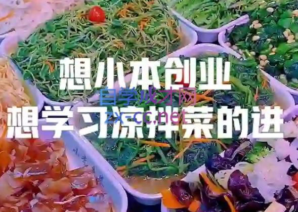 李记·精品凉拌菜系列热卤系列教程-泡泡网赚