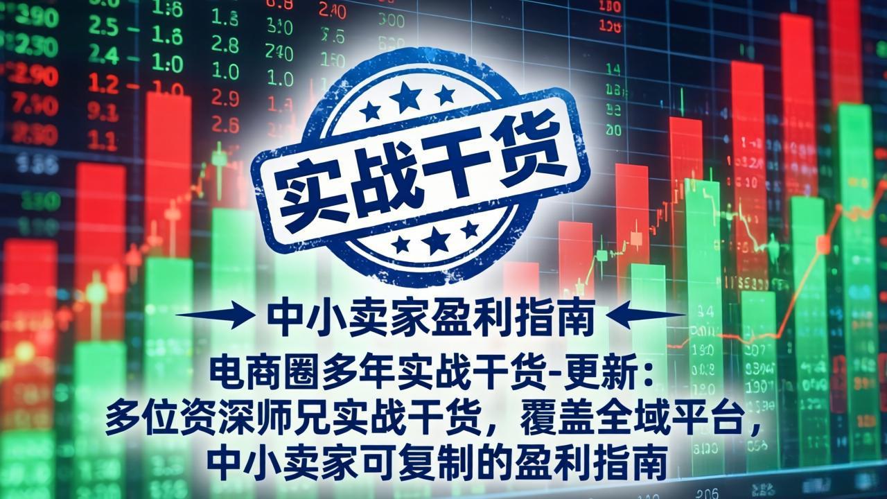 电商圈多年实战干货-更新5月10：多位资深师兄实战干货/覆盖全域平台，中小卖家可复制的盈利指南-泡泡网赚