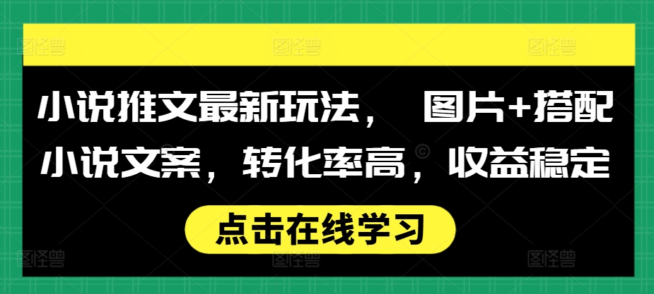 小说推文最新玩法， 图片+搭配小说文案，转化率高，收益稳定-泡泡网赚