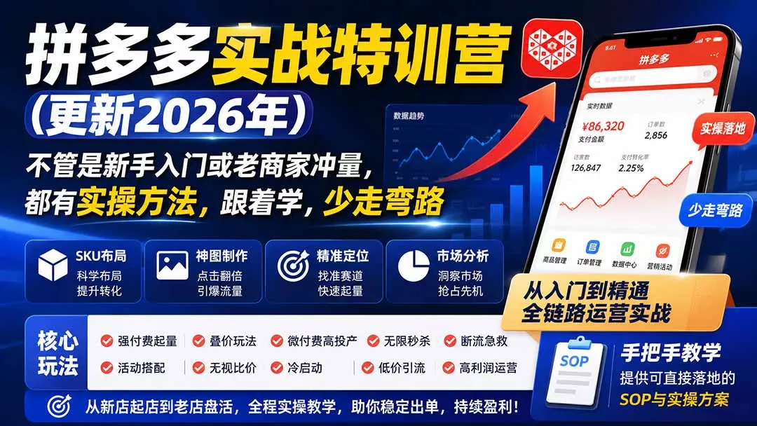 拼多多实战特训营(更新26年0821