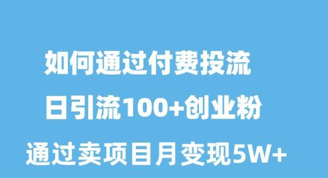 如何通过付费投流日引流100+创业粉月变现5W+-泡泡网赚