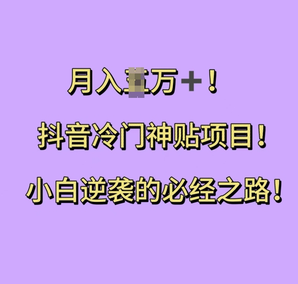 抖音冷门神贴项目，小白逆袭的必经之路，月入过W【揭秘】-泡泡网赚
