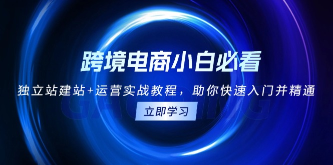 跨境电商小白必看！独立站建站+运营实战教程，助你快速入门并精通-泡泡网赚