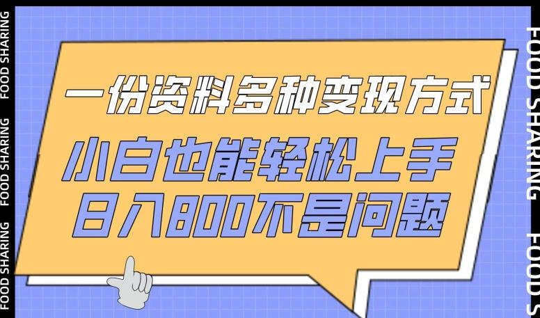 一份资料多种变现方式，小白也能轻松上手，日入800不是问题【揭秘】-泡泡网赚