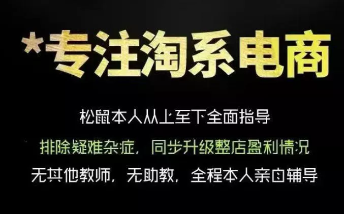 松鼠会电商VIP课程，从基础布局到高阶优化，助你掌握淘宝运营逻辑，提升店铺流量与转化(更新0901)-泡泡网赚