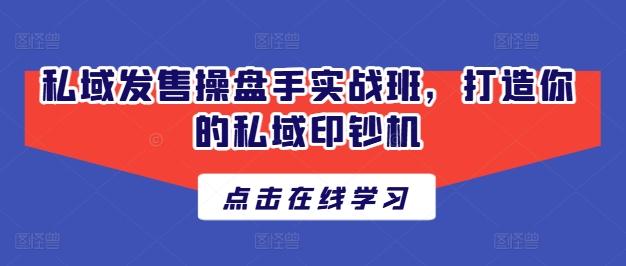 私域发售操盘手实战班，打造你的私域印钞机-泡泡网赚