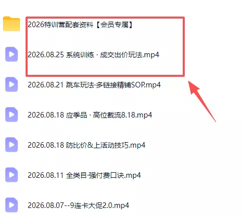 拼多多实战特训营(更新26年0827-泡泡网赚