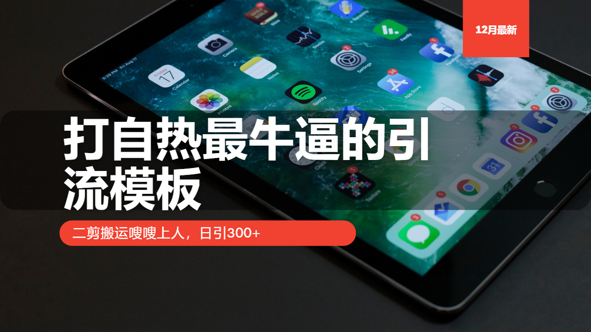 打自热最牛逼的引流模板，二剪搬运嗖嗖上人，日引300+-泡泡网赚