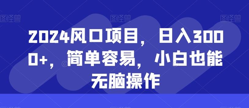 2024风口项目，日入3000+，简单容易，小白也能无脑操作-泡泡网赚