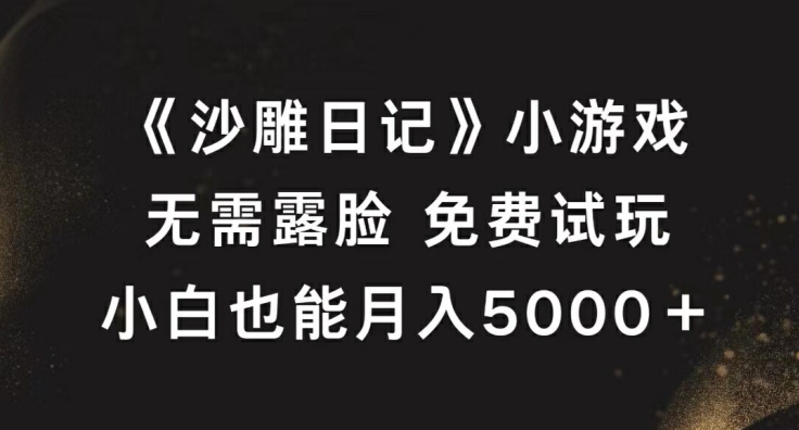 《沙雕日记》小游戏，无需露脸免费试玩，小白也能月入5000+【揭秘】-泡泡网赚