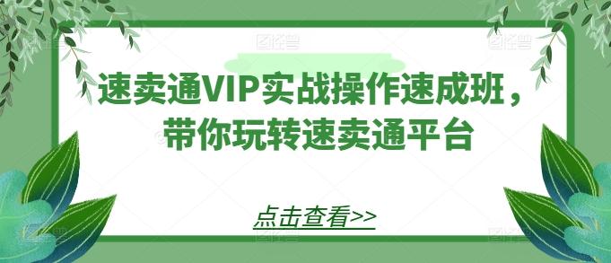 速卖通VIP实战操作速成班，带你玩转速卖通平台-泡泡网赚