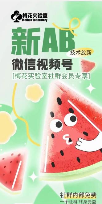 梅花实验室2024年AB技术视频号AB合成破解版-泡泡网赚