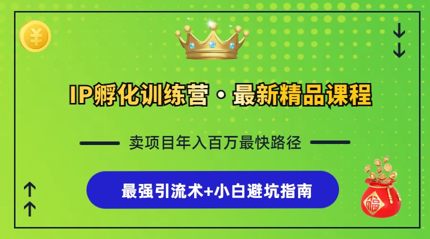 IP孵化训练营，知识付费全流程+最强引流术+小白避坑指南-泡泡网赚