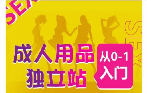 成人用品独立站从0-1入门，成品独立站运营全流程教学，七大好卖成品独立站推荐-泡泡网赚