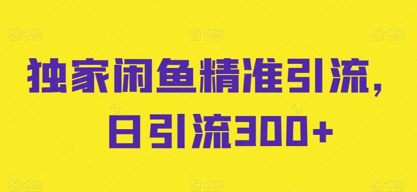 独家闲鱼精准引流，日引流300+【揭秘】-泡泡网赚