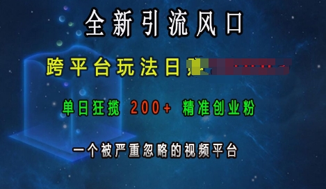 全新引流风口，跨平台玩法日入上k，单日狂揽200+精准创业粉，一个被严重忽略的视频平台-泡泡网赚