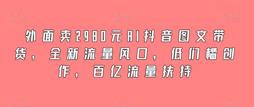 外面卖2980元AI抖音图文带货，全新流量风口，低们槛创作，百亿流量扶持-泡泡网赚