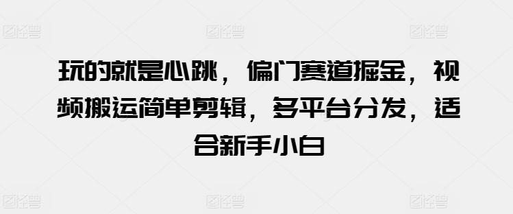 玩的就是心跳，偏门赛道掘金，视频搬运简单剪辑，多平台分发，适合新手小白【揭秘】-泡泡网赚