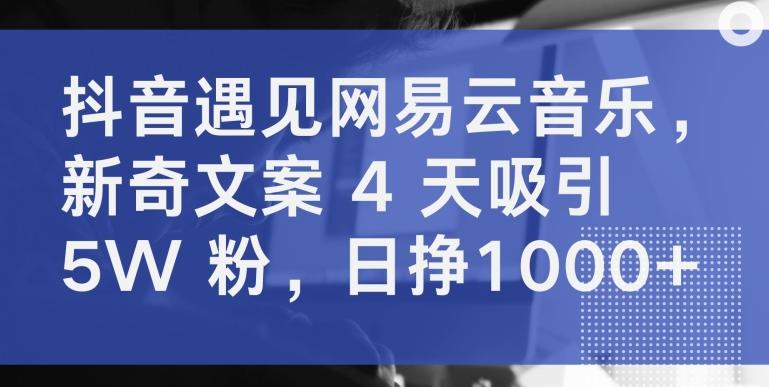 抖音遇见网易云音乐，新奇文案 4 天吸引 5W 粉，日挣1000+【揭秘】-泡泡网赚