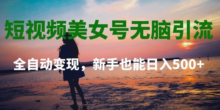 短视频美女号无脑引流，全自动变现，新手也能日入500+-泡泡网赚