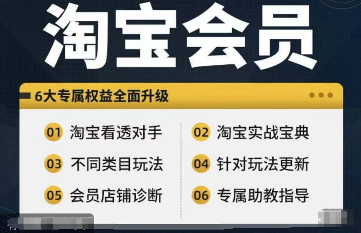淘宝会员【淘宝所有课程，全面分析对手】，初级到高手全系实战宝典-泡泡网赚