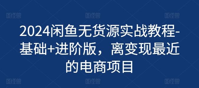 2024闲鱼无货源实战教程-基础+进阶版，离变现最近的电商项目-泡泡网赚