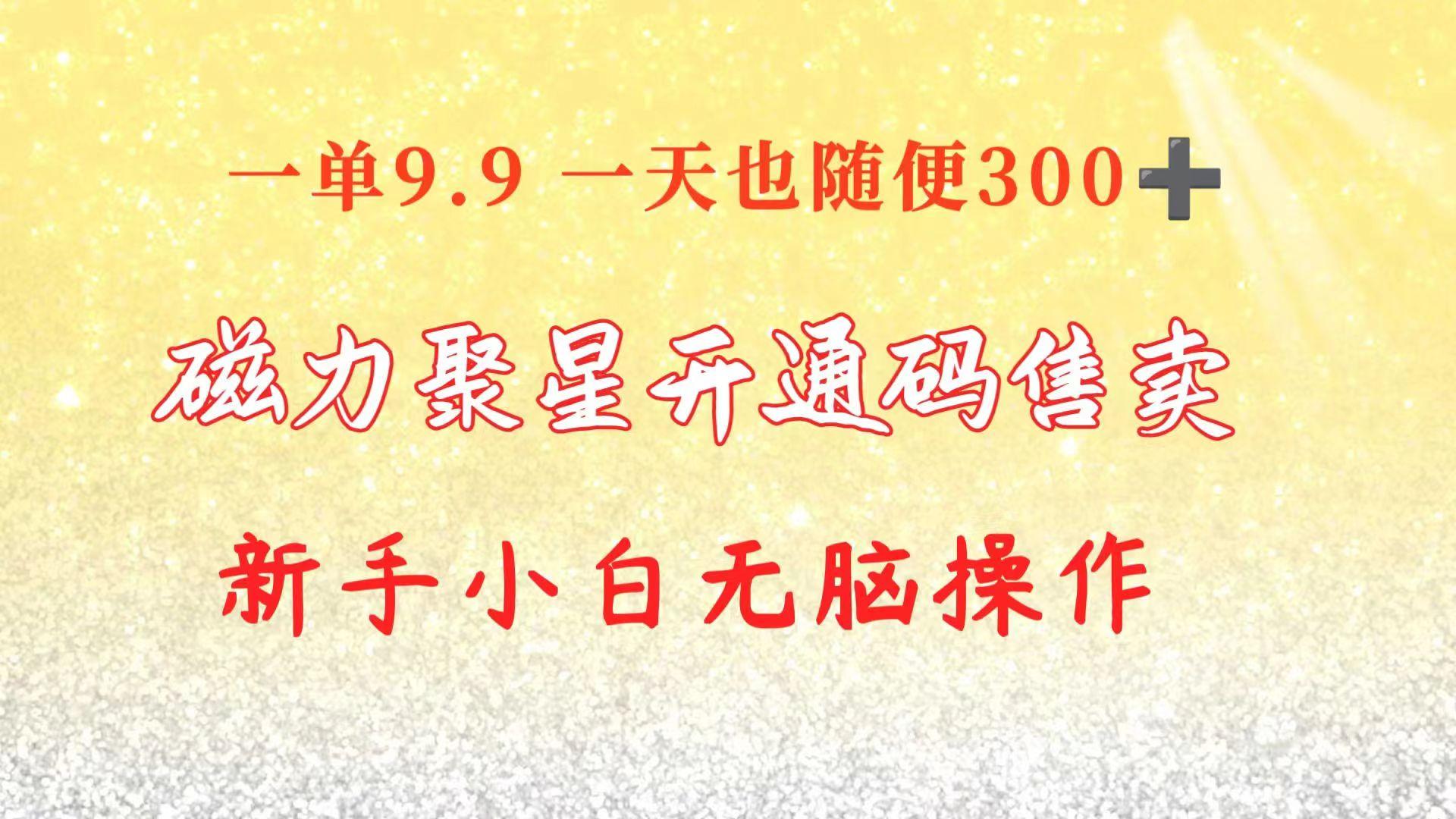 快手磁力聚星码信息差 售卖  一单卖9.9  一天也轻松300+ 新手小白无脑操作-泡泡网赚