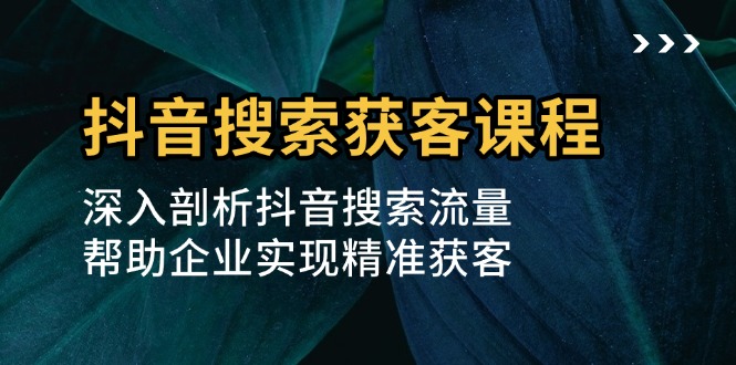 抖音搜索获客课程：深入剖析抖音搜索流量，帮助企业实现精准获客-泡泡网赚