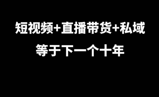 短视频+直播带货+私域等于下一个十年，大佬7年实战经验总结-泡泡网赚