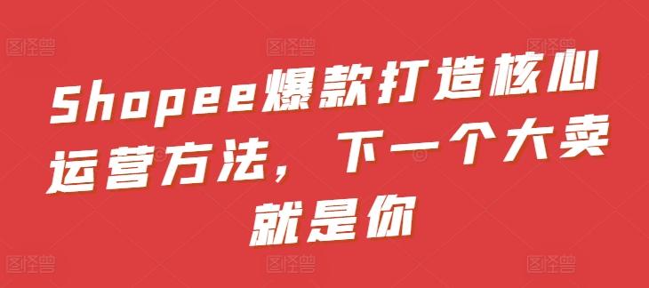 Shopee爆款打造核心运营方法，下一个大卖就是你-泡泡网赚