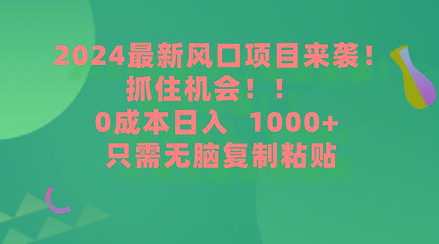(9899期)2024最新风口项目来袭，抓住机会，0成本一部手机日入1000+，只需无脑复…-泡泡网赚