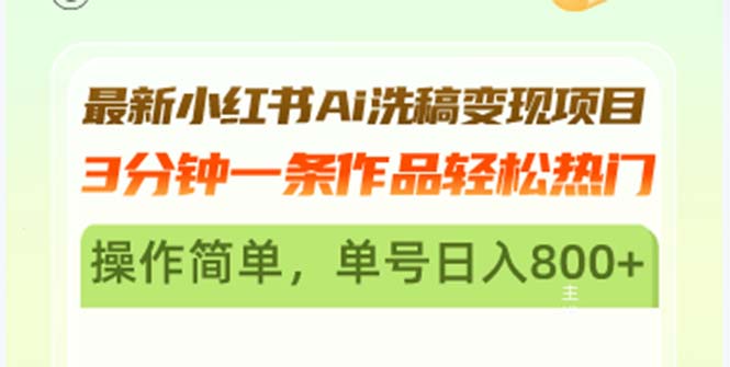 最新小红书Ai洗稿变现项目 3分钟一条作品轻松热门 操作简单，单号日入800+-泡泡网赚