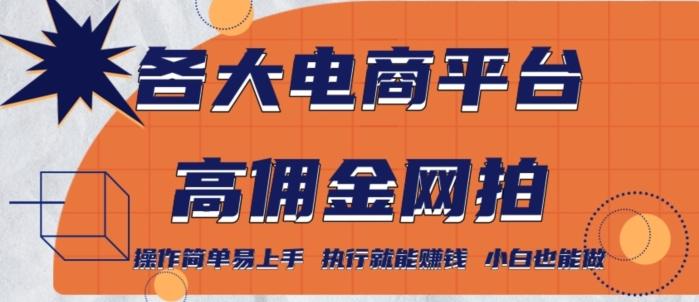 各大电商平台高佣金网拍，操作简单易上手，执行就能赚钱，小白也能做-泡泡网赚