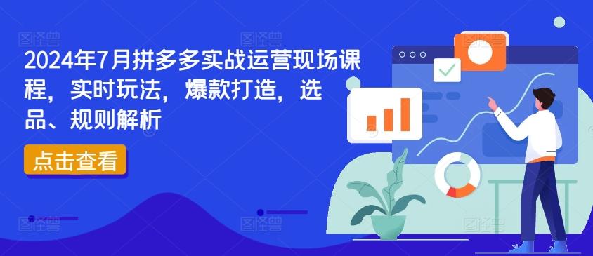 2024年7月拼多多实战运营现场课程，实时玩法，爆款打造，选品、规则解析-泡泡网赚