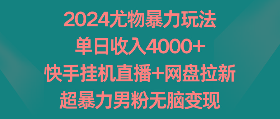 2024尤物暴力玩法 单日收入4000+快手挂机直播+网盘拉新 超暴力男粉无脑变现-泡泡网赚