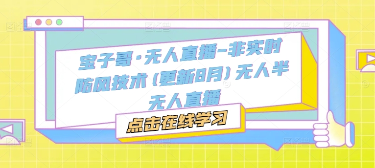 宝子哥·无人直播-非实时防风技术(更新11月)无人半无人直播-泡泡网赚