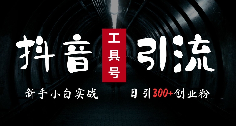 2024最新抖音工具号引流玩法，高效日引300+创业粉，当天变现5k，小白也可成为实战高手-泡泡网赚