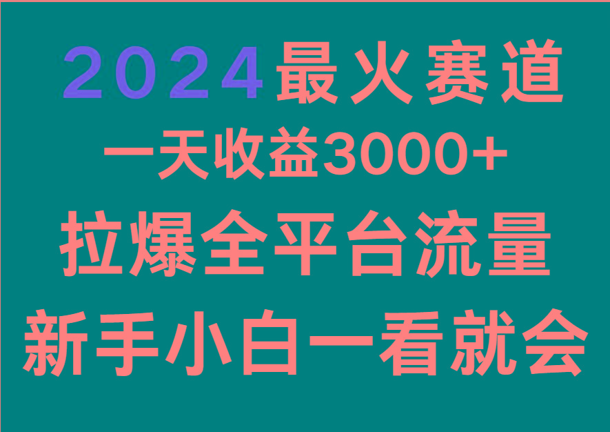 2024最火赛道，一天收一3000+.拉爆全平台流量，新手小白一看就会-泡泡网赚
