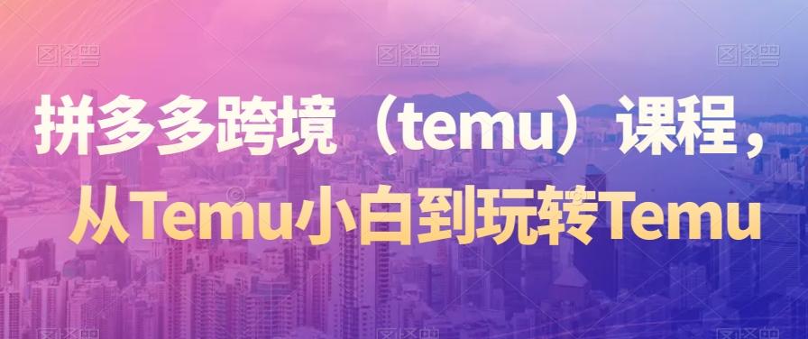 拼多多跨境（temu）课程，从Temu小白到玩转Temu-泡泡网赚