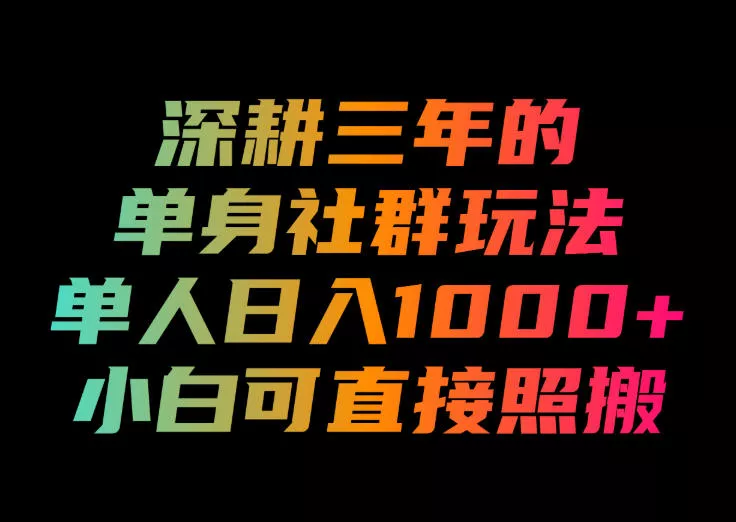 深耕三年的单身社群玩法，单人日入1000+，小白可直接照搬！【揭秘】-泡泡网赚