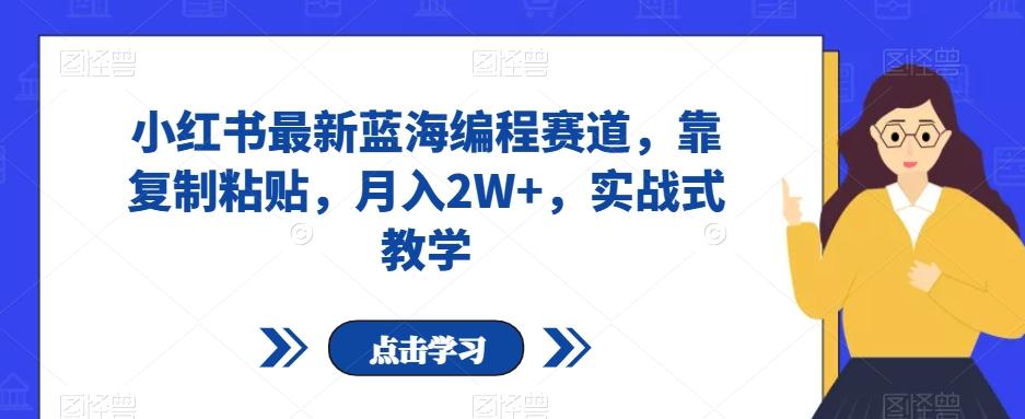 小红书最新蓝海编程赛道，靠复制粘贴，月入2W+，实战式教学【揭秘】-泡泡网赚