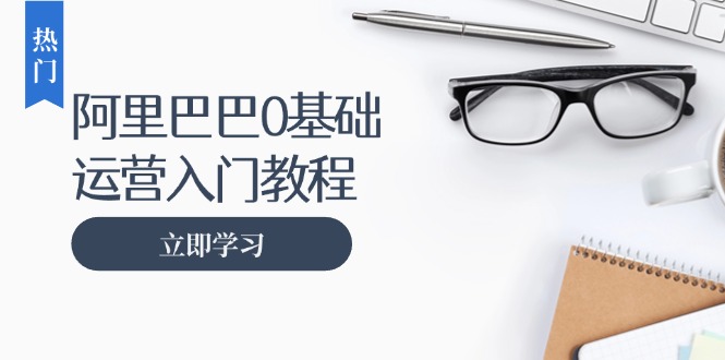 阿里巴巴运营零基础入门教程：涵盖开店、运营、推广，快速成为电商高手-泡泡网赚