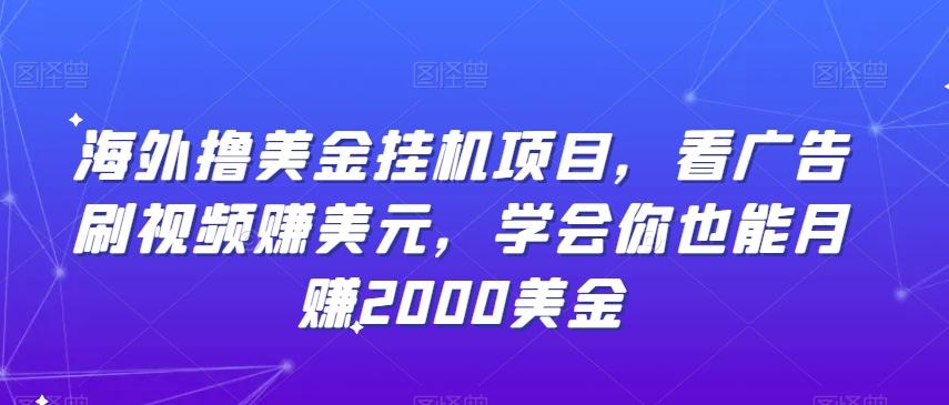 海外撸美金挂机项目，看广告刷视频赚美元，学会你也能月赚2000美金-泡泡网赚