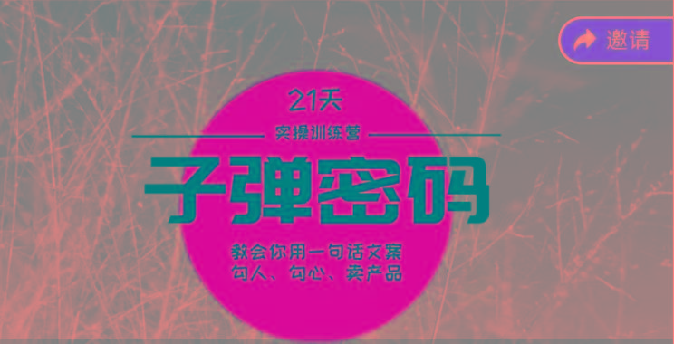 《子弹密码训练营》-用一句话文案勾人勾心卖产品，21天学到顶尖文案大师策略和技巧-泡泡网赚