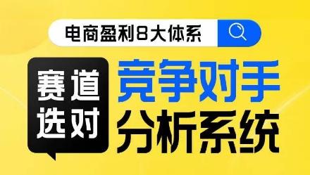电商盈利8大体系·赛道选对，​竞争对手分析系统线上课-泡泡网赚