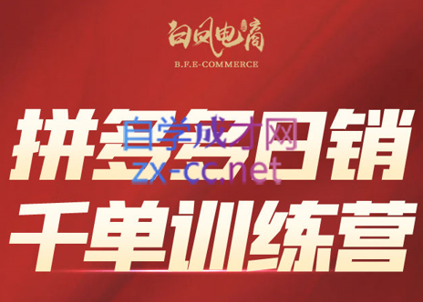 白凤电商学院·拼多多日销千单训练营(更新7月)-泡泡网赚